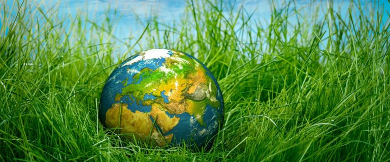 Итоги Регионального этапа XX Всероссийского детского экологического форума «Зелёная планета 2022»
